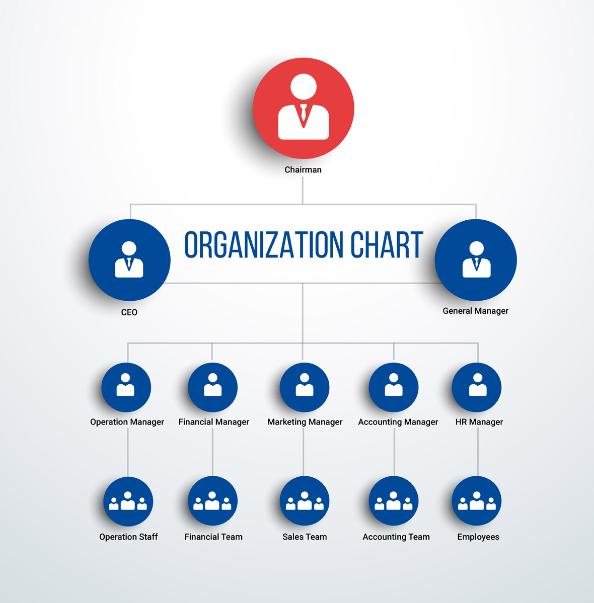 Organisation Structure – Ansari Group of Company