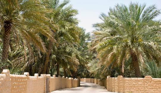 Al Ain Image 1