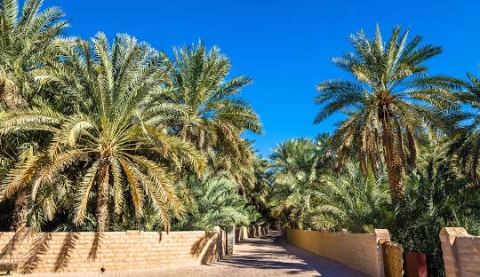 Al Ain Image 3