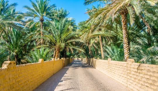 Al Ain Image 4