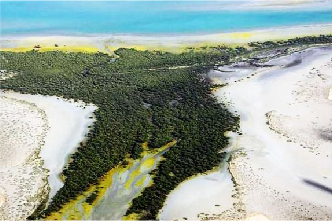 Al Sinniyah Island Al Sinniyah Island