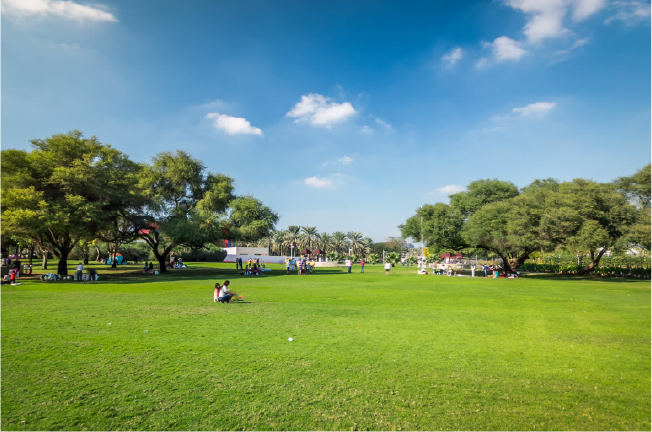 Gardens and Park Gardens and Park