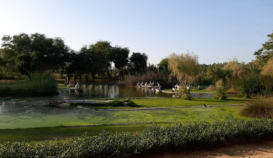 Wasit Wetland Center Ajman